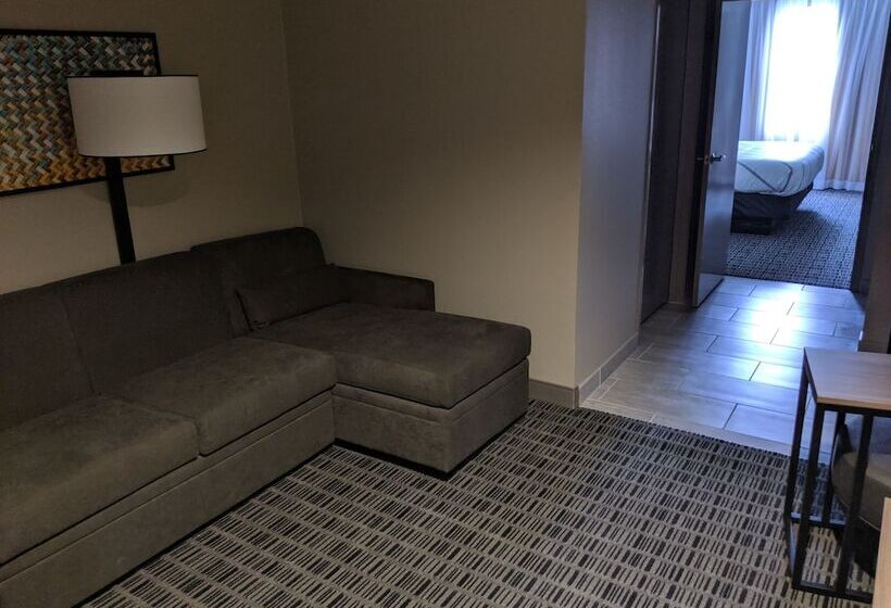 سوییت, La Quinta By Wyndham Montgomery