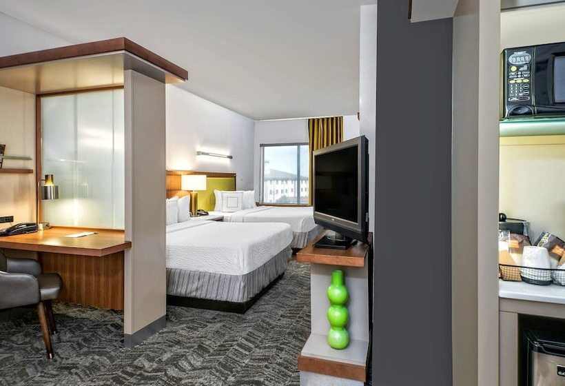 Standard Studio, Springhill Suites By Marriott San Antonio Airport