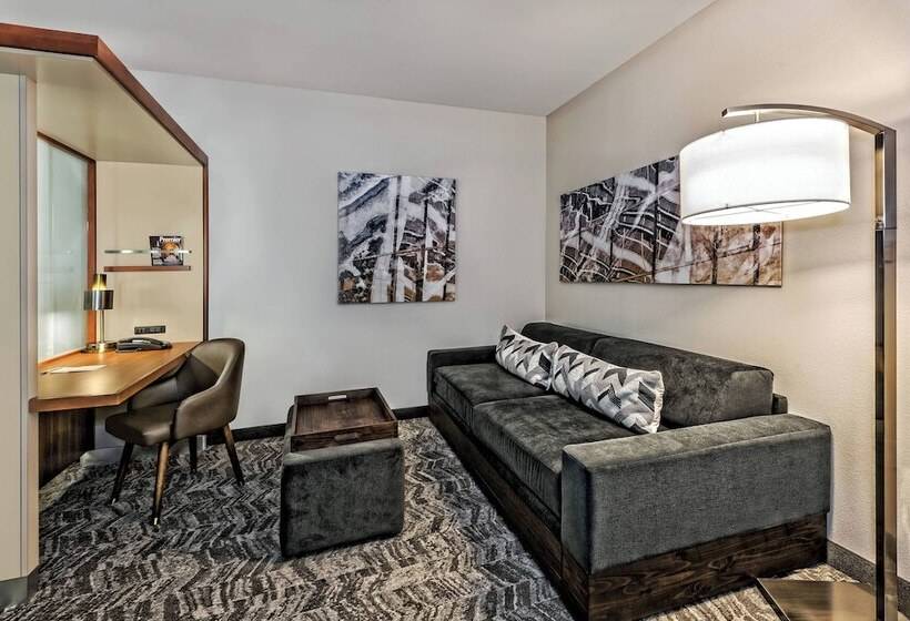 استودیوی استاندارد, Springhill Suites By Marriott San Antonio Airport