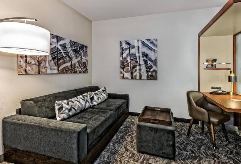 استودیو استاندارد با تخت کینگ, Springhill Suites By Marriott San Antonio Airport