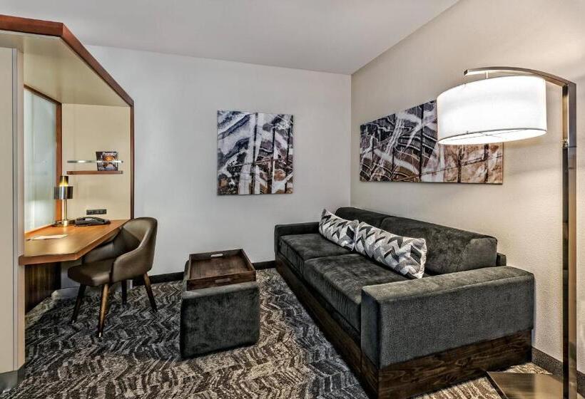 استودیو استاندارد با تخت کینگ, Springhill Suites By Marriott San Antonio Airport