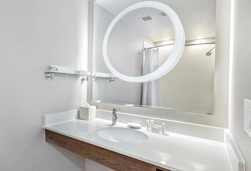 استودیوی استاندارد, Springhill Suites By Marriott San Antonio Airport