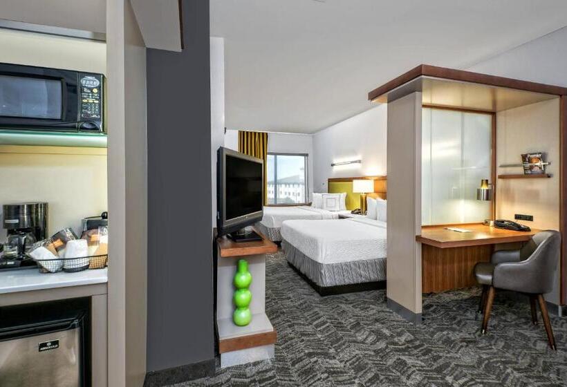 استودیوی استاندارد, Springhill Suites By Marriott San Antonio Airport