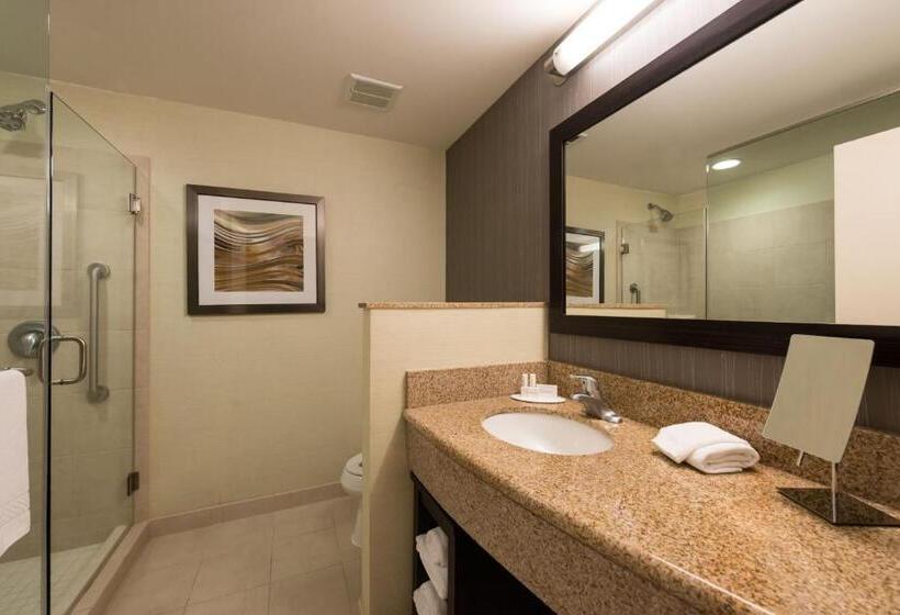 اتاق استاندارد با تخت بزرگ, Courtyard Clemson