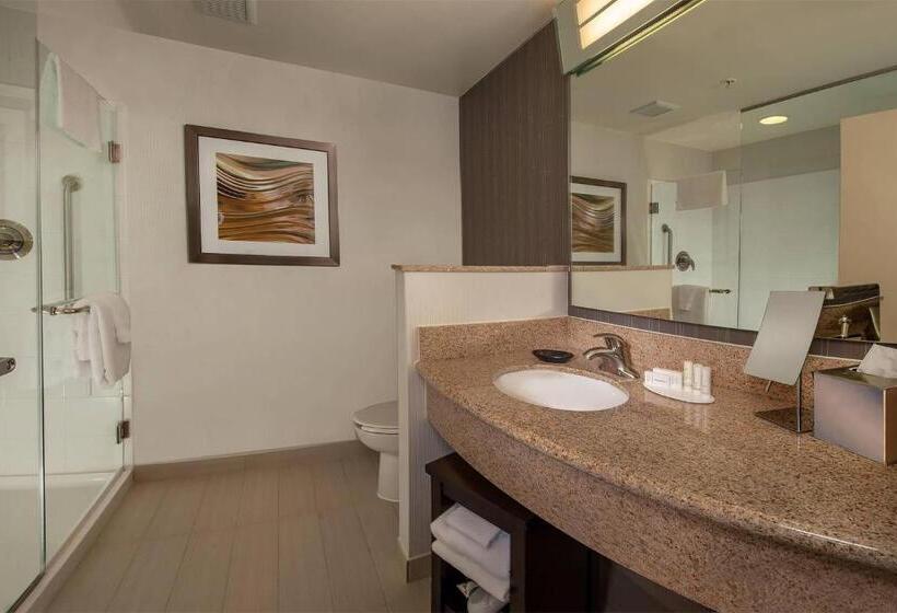 اتاق استاندارد با تخت بزرگ, Courtyard By Marriott Hagerstown