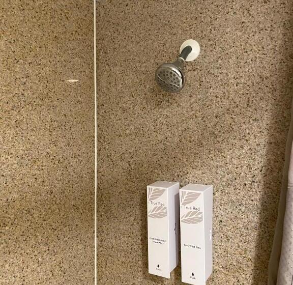 اتاق سوپریور, Red Roof Inn Vero Beach   I 95