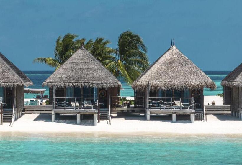 ویلای 1 خوابه, Constance Moofushi Maldives   All Inclusive