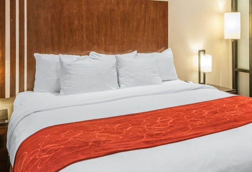 سوییت, Comfort Suites