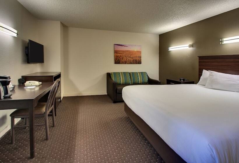 اتاق استاندارد با تخت بزرگ برای معلولان, Everspring Inn & Suites
