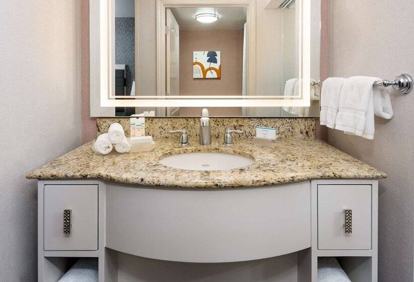 スイート, Homewood Suites By Hilton Boston/canton, Ma