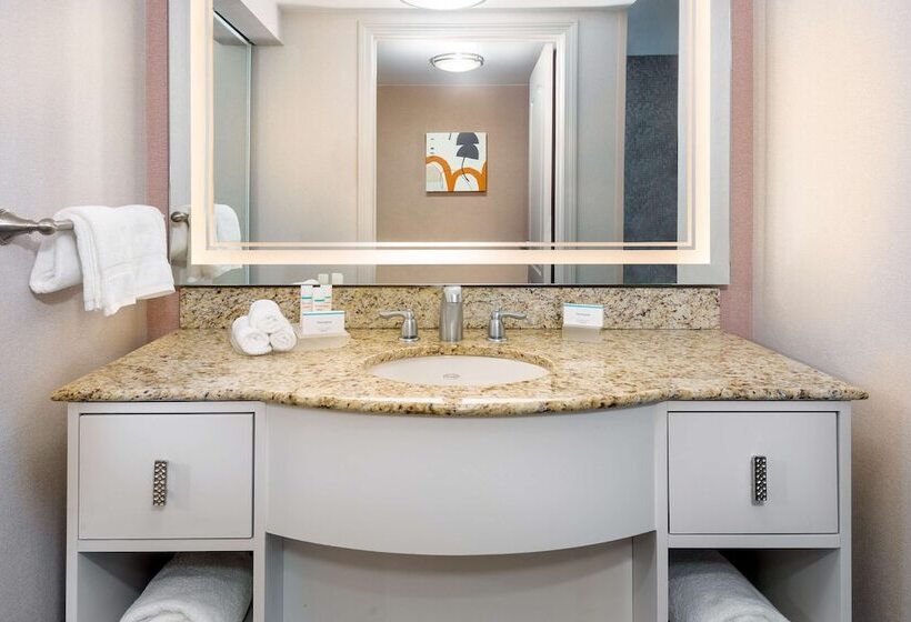 スイート, Homewood Suites By Hilton Boston/canton, Ma