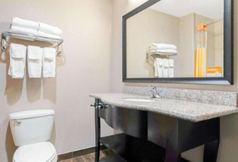 اتاق اجرایی با تخت بزرگ, La Quinta By Wyndham Mcalester