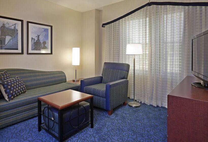 Suite, Residence Inn Cincinnati Downtown/the Phelps