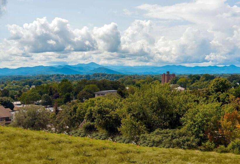 اتاق استاندارد با تخت دو نفره بزرگ, Aloft Asheville Downtown