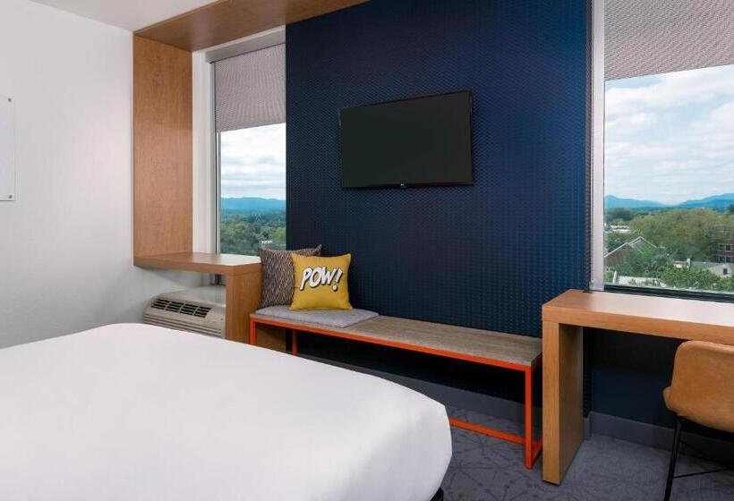 اتاق استاندارد با تخت بزرگ, Aloft Asheville Downtown