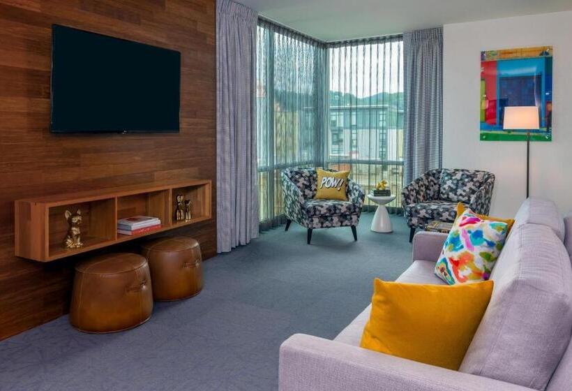 سوئیت با تخت بزرگ, Aloft Asheville Downtown