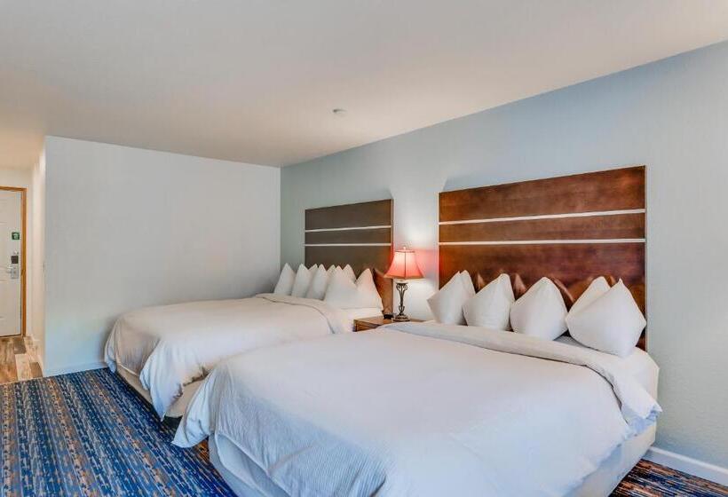 اتاق استاندارد با چشم‌انداز رودخانه, Alpine Rivers Inn