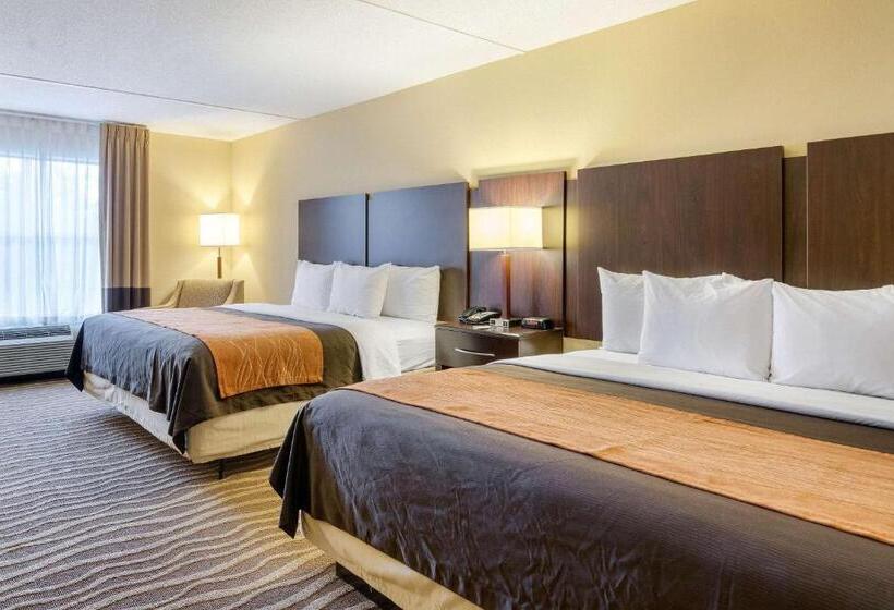 اتاق استاندارد, Comfort Inn & Suites