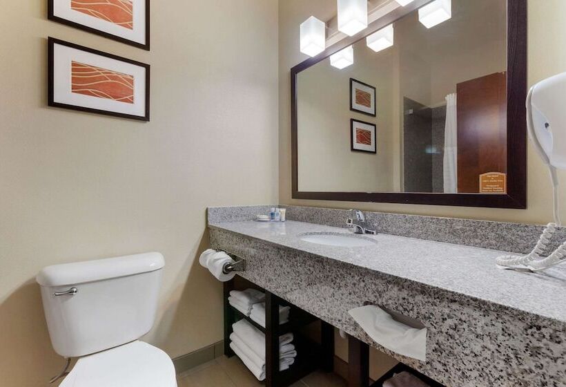 اتاق استاندارد با 2 تخت دوبل, Comfort Inn & Suites Page At Lake Powell