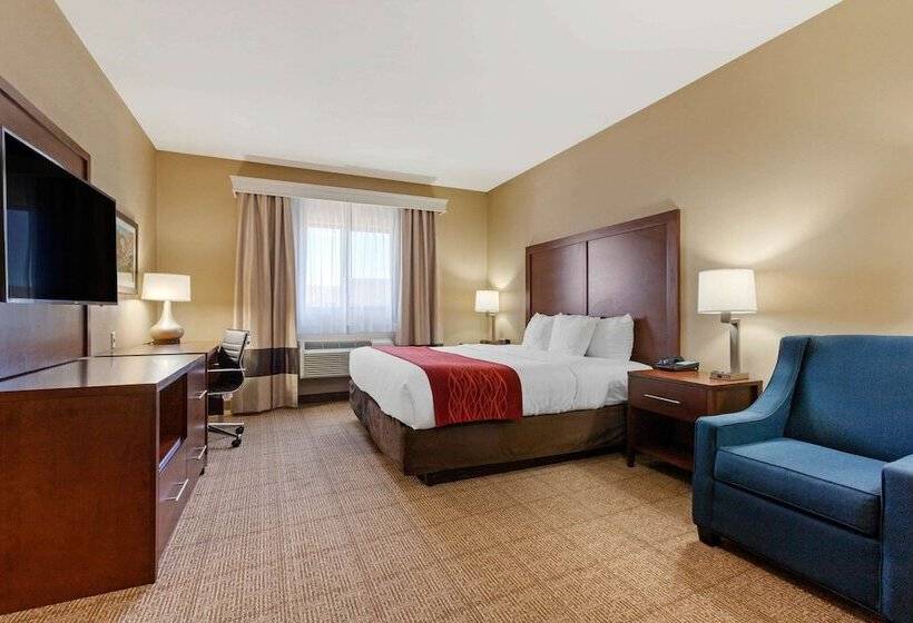 اتاق استاندارد با تخت دوبل برای معلولان, Comfort Inn & Suites Page At Lake Powell