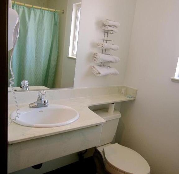 اتاق استاندارد با تخت بزرگ, Deluxe Inn Redwood City