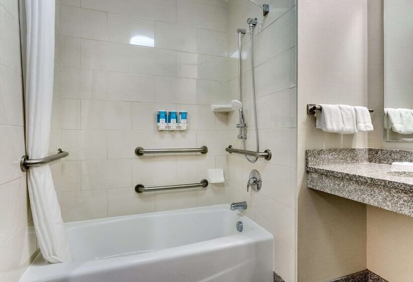 اتاق دلوکس مخصوص معلولین, Drury Inn & Suites  Universal Orlando Resort™