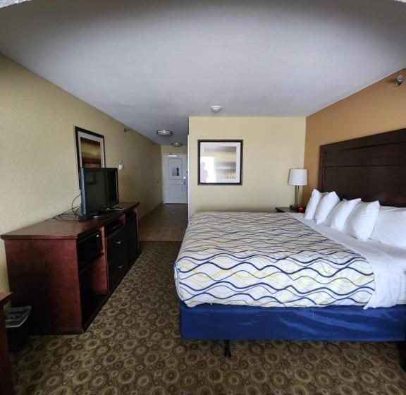 سوئیت با تخت بزرگ, La Quinta Inn & Suites Minot