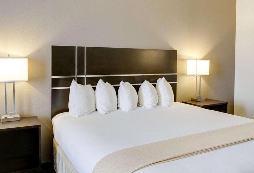 اتاق استاندارد با تخت بزرگ, Quality Inn & Suites Bryan College Station