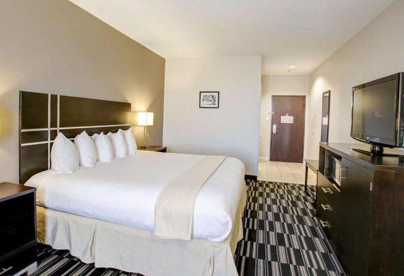 اتاق استاندارد با تخت بزرگ, Quality Inn & Suites Bryan College Station