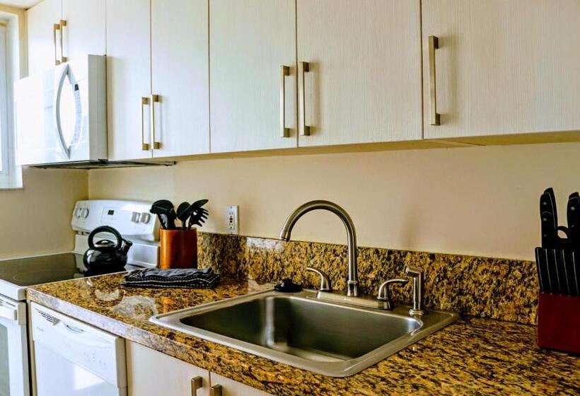 آپارتمان کلاسیک 1 خوابه, Villa Venezia