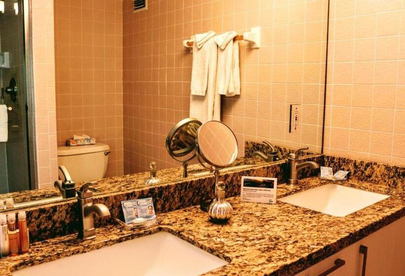 آپارتمان کلاسیک 1 خوابه, Villa Venezia