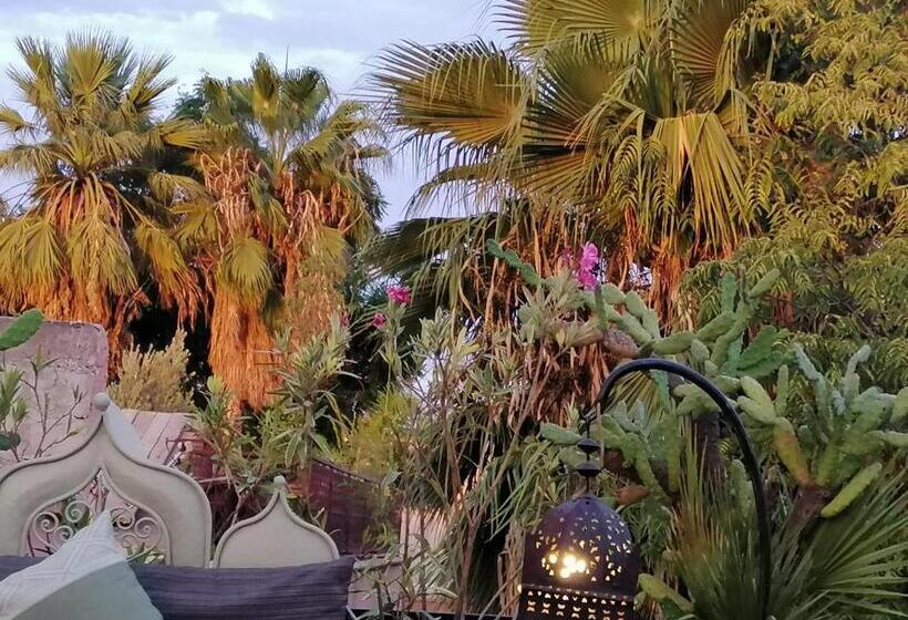 سوئیت جونیور خانوادگی, Riad Swaka
