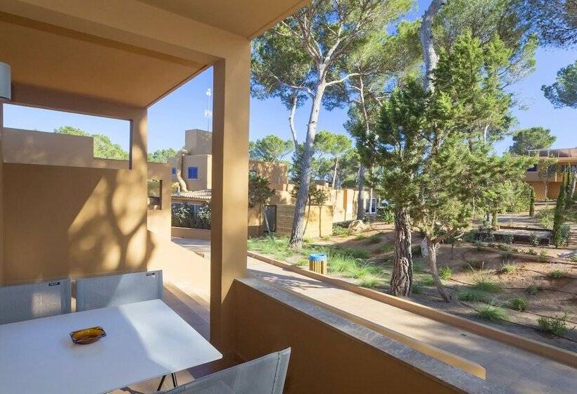 דירת 2 חדרים סופריור, Ses Eufabietes Apartments & Restaurant