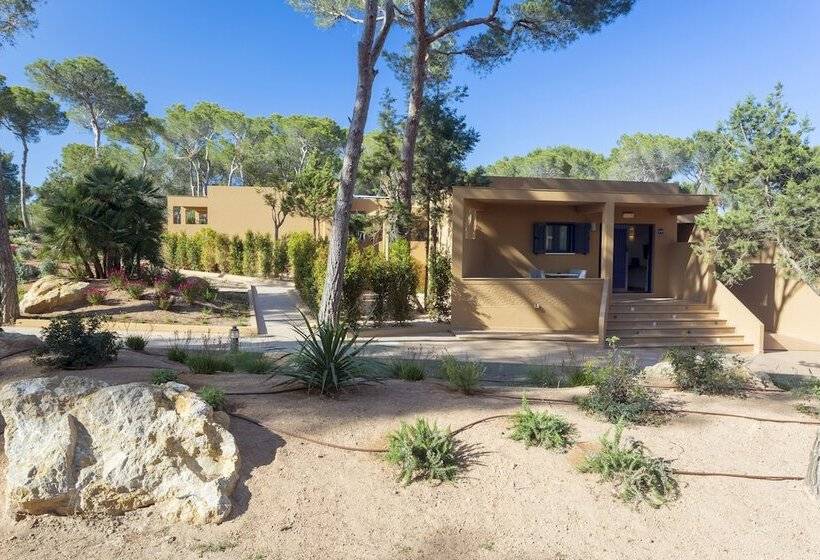 דירת 2 חדרים סופריור, Ses Eufabietes Apartments & Restaurant