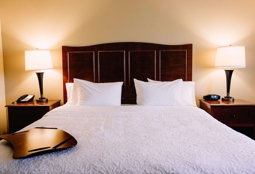اتاق استاندارد با تخت دوبل, Hampton Inn & Suites Minot Airport