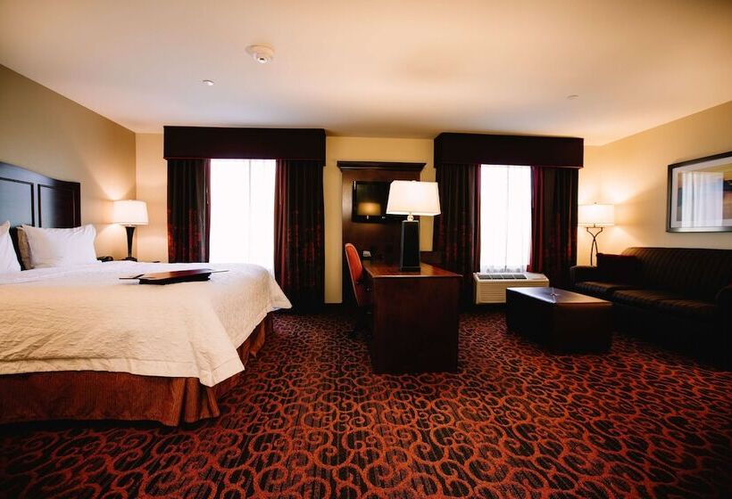 اتاق استاندارد با تخت دوبل, Hampton Inn & Suites Minot Airport