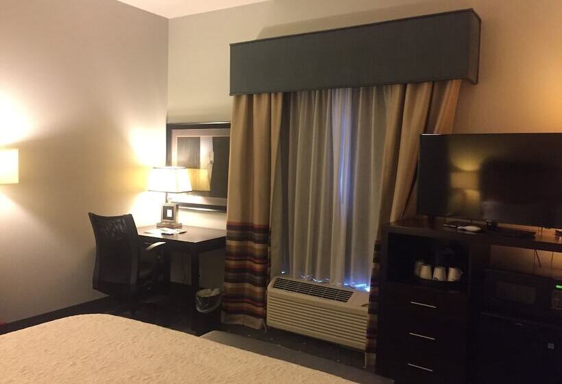 اتاق استاندارد با تخت دوبل برای معلولان, Hampton Inn & Suites Raleigh Downtown