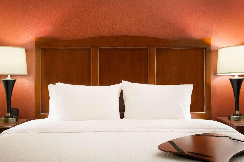 اتاق استاندارد با تخت بزرگ, Hampton Inn & Suites Williston