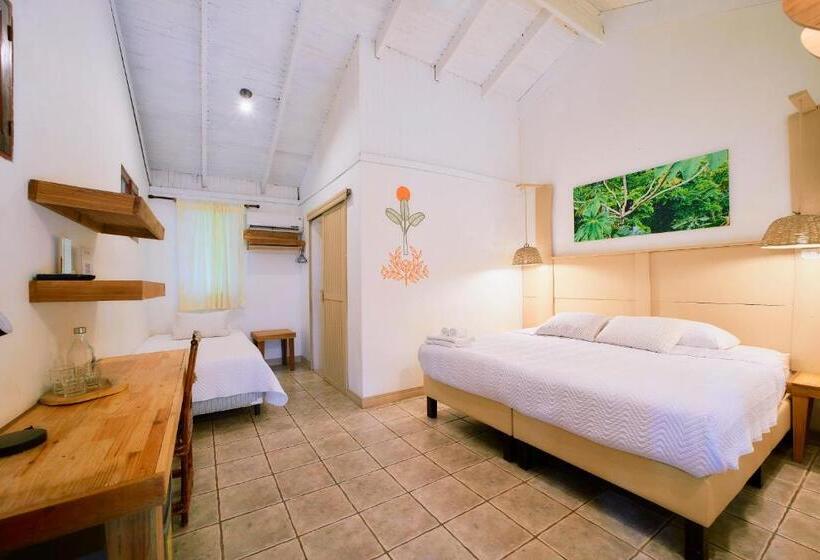 Standardzimmer, Cariblue Beach And Jungle Resort