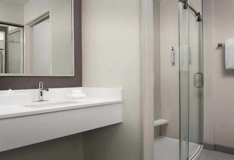 اتاق استاندارد با تخت بزرگ, Courtyard By Marriott Panama City