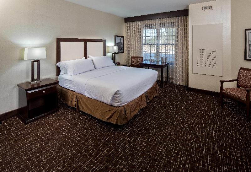 اتاق استاندارد با تخت بزرگ, Holiday Inn Resort Deadwood Mountain Grand, An Ihg