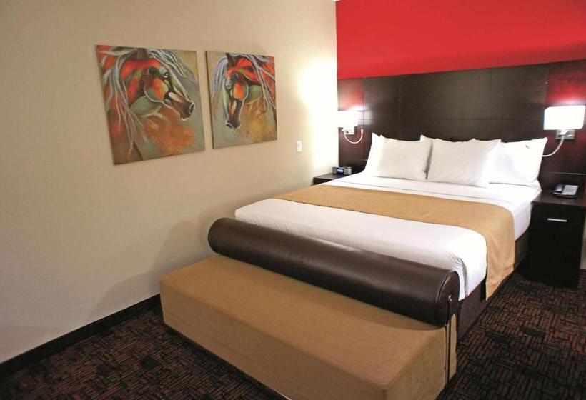 غرفة قياسية سرير كينج لذوى الإحتياجات الخاصة, La Quinta Inn & Suites By Wyndham Elk City