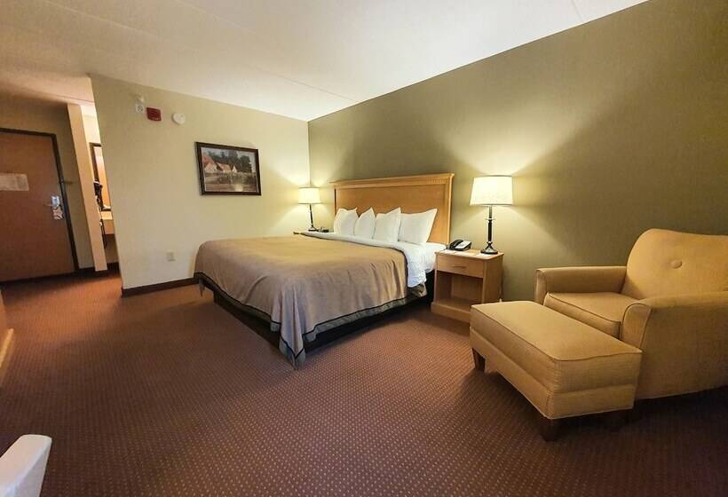 Executive Room, Amerivu Inn And Suites  Waconia