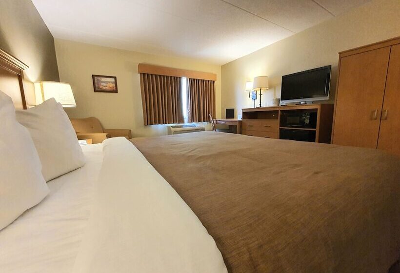 Chambre Executive, Amerivu Inn And Suites  Waconia