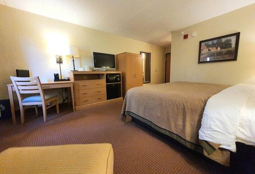 Executive Room, Amerivu Inn And Suites  Waconia