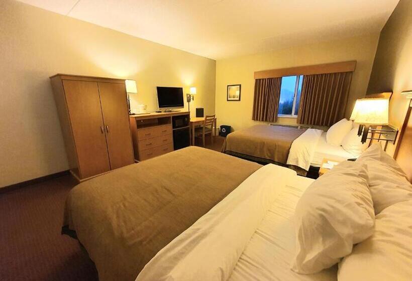 اتاق استاندارد با تخت دو نفره بزرگ برای معلولان, Amerivu Inn And Suites  Waconia