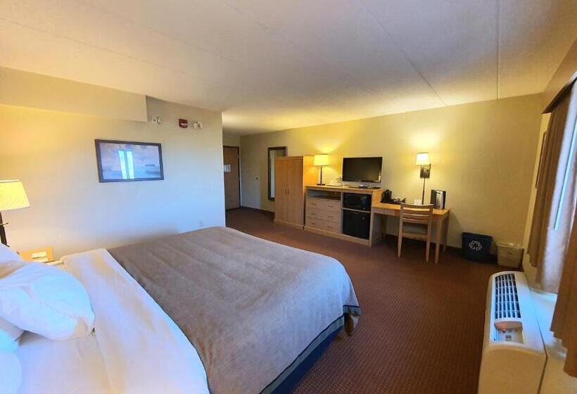 اتاق استاندارد با تخت بزرگ برای معلولان, Amerivu Inn And Suites  Waconia