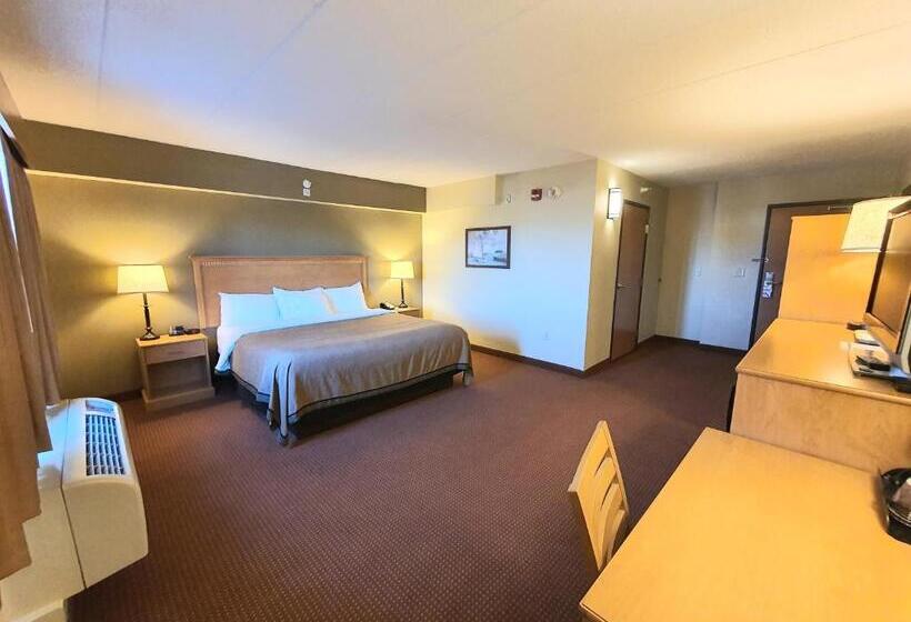 اتاق استاندارد با تخت بزرگ برای معلولان, Amerivu Inn And Suites  Waconia
