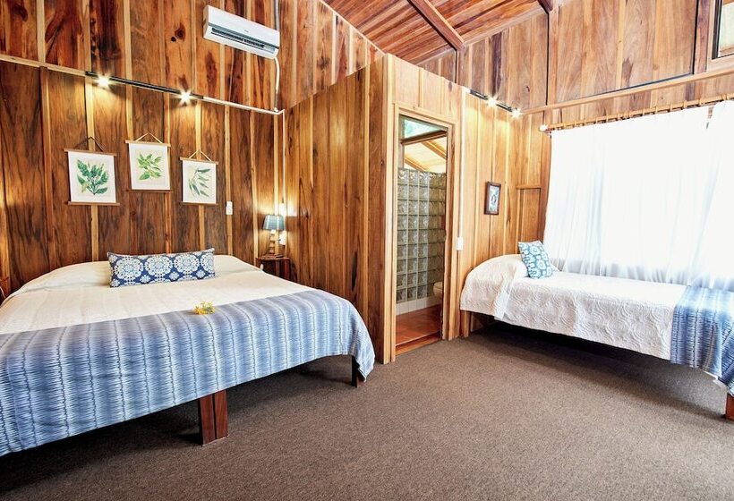 اتاق استاندارد, Finca Luna Nueva Lodge