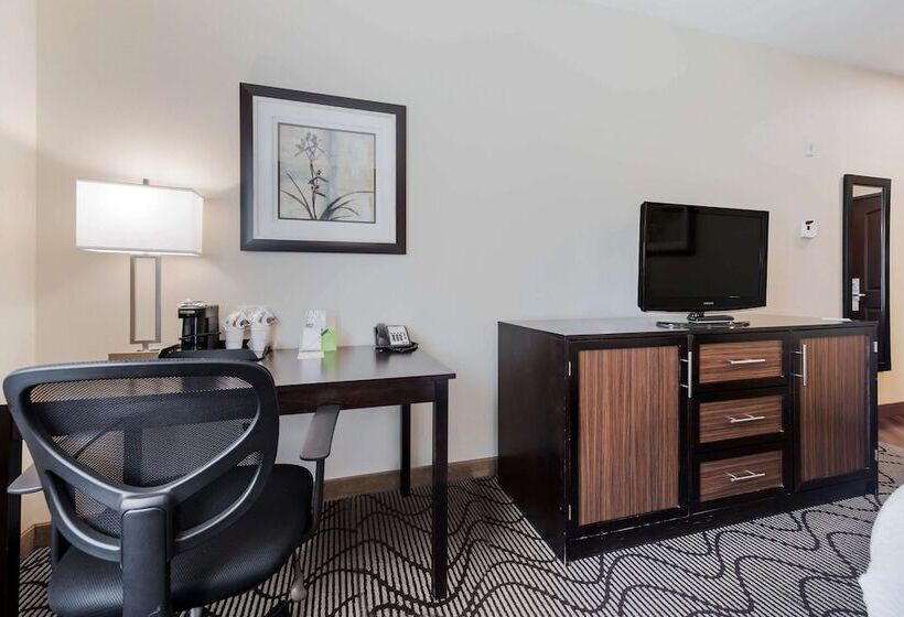 اتاق استاندارد با تخت دوبل برای معلولان, La Quinta Inn & Suites By Wyndham Auburn